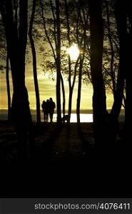 A silhouette shot of a family walking in the park during sunset