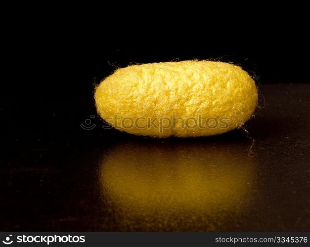 a silkworm cocoon of bright yellow on a black background only