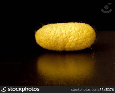 a silkworm cocoon of bright yellow on a black background only