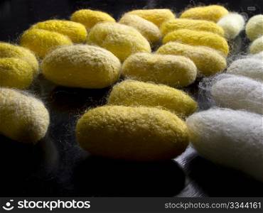 a silkworm cocoons of many colors