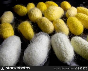a silkworm cocoons of many colors in the foreground