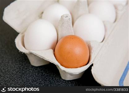 A single brown egg in a carton of white eggs - Shallow depth of field is used to isolate the brown egg.