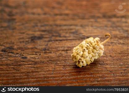 a single dried white mulberry fruit on a rustic wood with a copy space