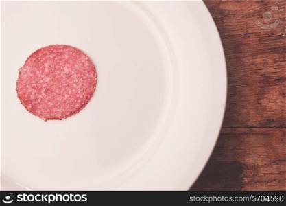 A single piece of salami on a white plate