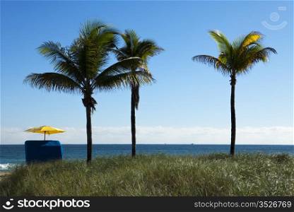 A single umbrella on the beach located next to three palm trees provides solitude and quiet during vacations.