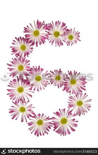 A Six Made Of Pink And White Daisies