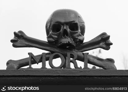 A skull at a graveyard (Memento Mori)