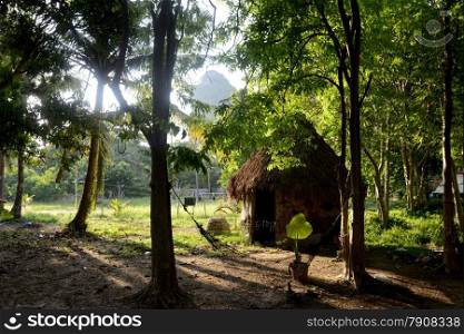 a smal House of a Hotel worker he Hat Phra Nang Beach at Railay near Ao Nang outside of the City of Krabi on the Andaman Sea in the south of Thailand. . THAILAND