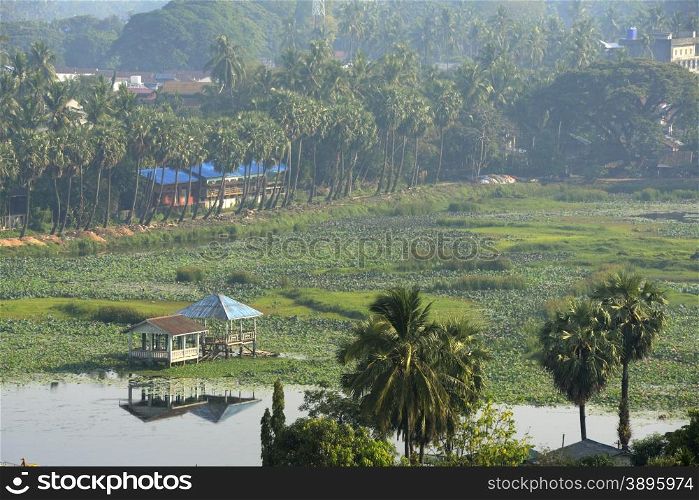 a smal lake in the city centre of Myeik in the south in Myanmar in Southeastasia.. ASIA MYANMAR BURMA MYEIK CITYCENTRE