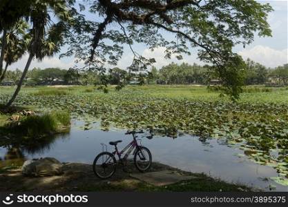 a smal lake park in the city centre of Myeik in the south in Myanmar in Southeastasia.. ASIA MYANMAR BURMA MYEIK CITYCENTRE