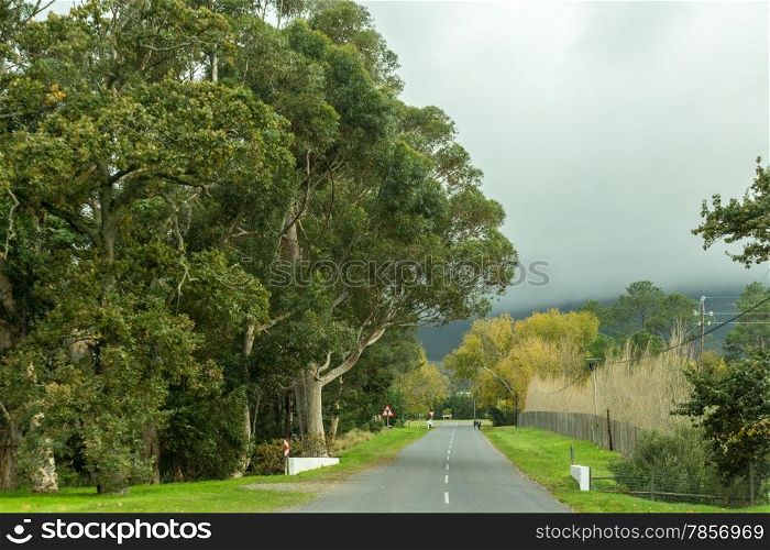 A small asphalt road cutting through the picturesque landscapes of the Western Cape regions of South Africa