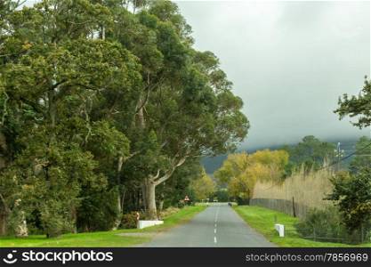 A small asphalt road cutting through the picturesque landscapes of the Western Cape regions of South Africa