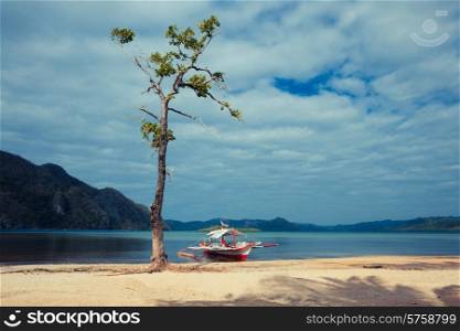 A small boat next to a tree on a tropical beach in the Philippines