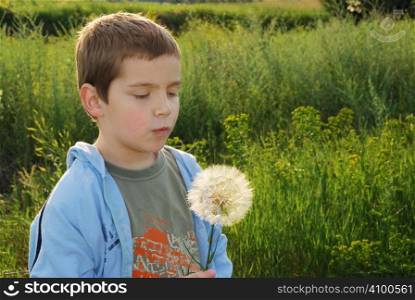 A small boy with big dreams, backlit with afternoon sun making a wish while holding big dandelion-like plant in hand.