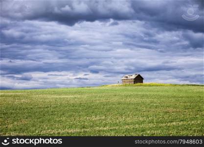 A small farm outbuilding in the middle of a grain field sits on top of one of the rolling hills in the Palouse area of Eastern Washington.&#xA;