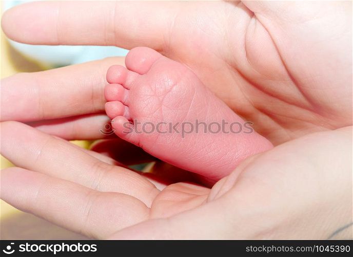 a small foot of baby in the hand of his mother