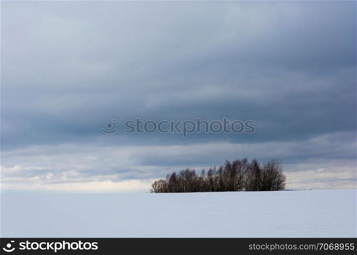 A small group of dark trees in an open winter field against a cloudy sky.