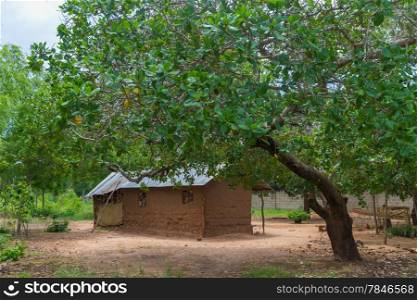 A small hut made of wood and clay in a remote village in Tanzania