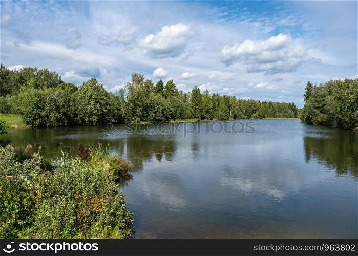 A small lake framed by large green trees and bushes on a sunny summer day.