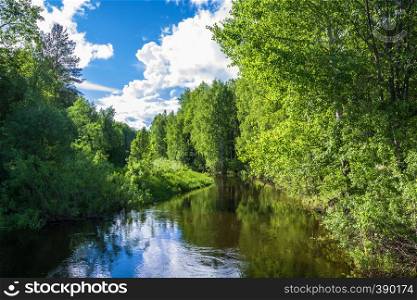 A small river among the green trees in summer Sunny day.