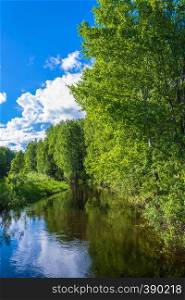 A small river among the green trees in summer Sunny day.
