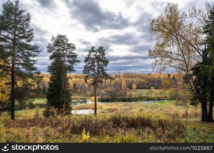A small river and autumn forest with yellow birch leaves and beautiful clouds on a sunny day.