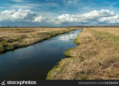 A small river that flows through the meadows, Czulczyce, Poland