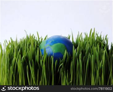 a small rubber globe in wheat grass