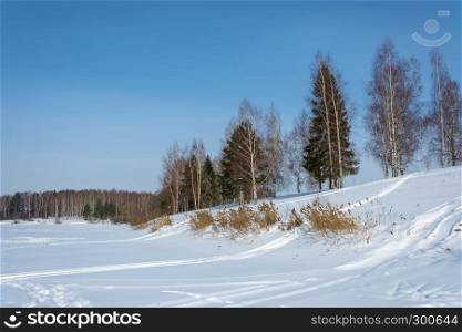 A small snow slope and trees on a blue sky background on a Sunny day.