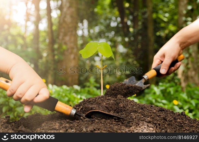 A small tree and hands are planting trees tenderly.