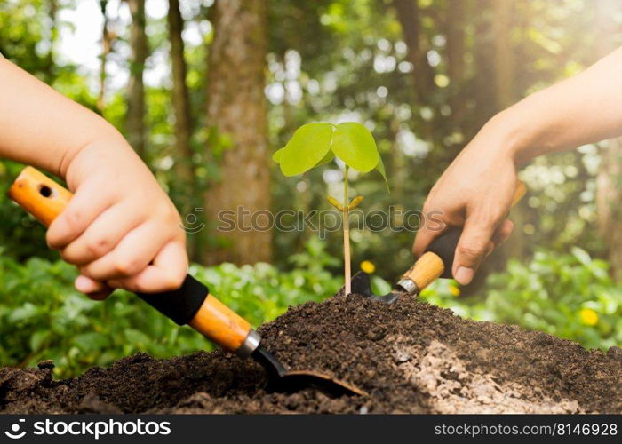 A small tree and hands are planting trees tenderly.