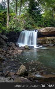 A small waterfall along the Glade Creek within Babcock State Park of West Virginia. The flowers were in full bloom in late Spring.