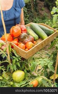 a small wooden crate with vegetables from the garden
