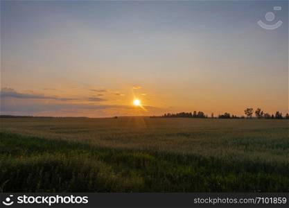 A small yellow-orange disc of the setting sun over the horizon and a little cloudy, Russia.