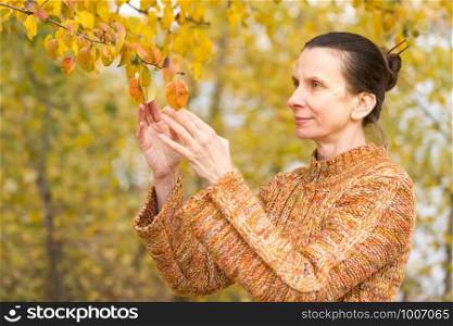 A smiling adult caucasian woman is picking orange apple leaves in autumn