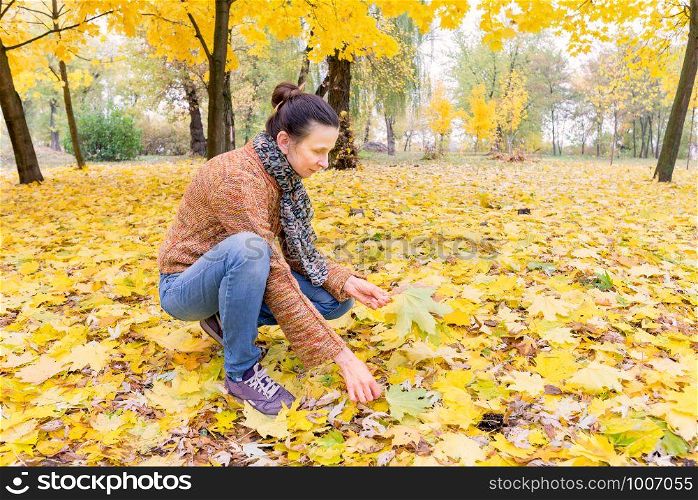 A smiling adult caucasian woman is picking yellow maple leaves in autumn in the park