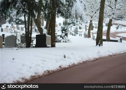 A snow covered cemetery with frosted gravestones