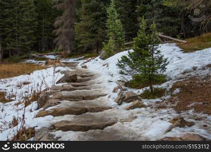 A snow covered hiking trail in Rocky Mountain National Park