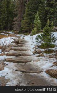 A snow covered hiking trail in Rocky Mountain National Park