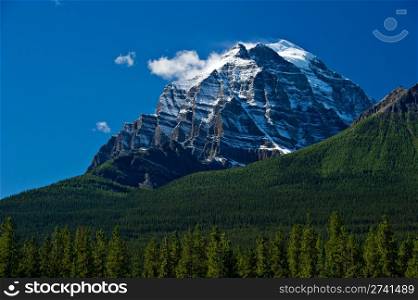 A snow covered mountain top pierces the blue sky in Banff National Park. There are a few clouds in the sky and a vibrant green tree landscape in the foreground.