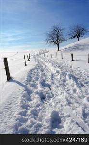 A snowy path or road, widing up a hill in Neuheim, canton of Zug.