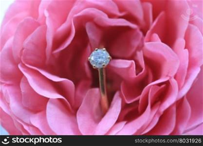 A solitaire diamond engagement ring in a pink rose