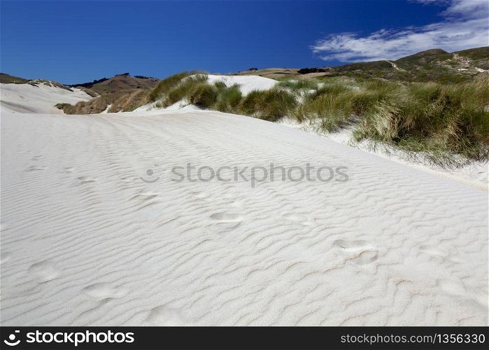A spectacular sand dune at Sandfly Bay
