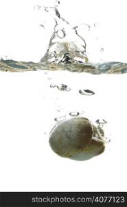 A splash of two mushrooms dropped into water