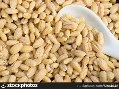 A spoon is buried in a stock of Pearl Barley