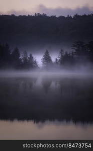 A spruce tree silhoutted against the morning mist rising off of Spruce Knob Lake during a summer sunrise.