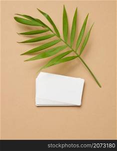 a stack of rectangular white paper business cards and a leaf of a palm tree on a brown background. View from above