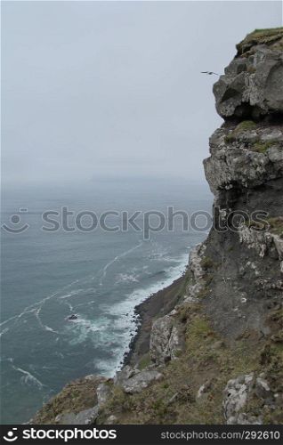 A steep hill slope with rocks and grass with a spectacular view to the coast, waving Atlantic Ocean and a flying bird on the on Island Vagar of the Faroe Islands. Glorious sceneries of the Faroes. Postcard motif.