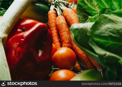A still life shot of a lot of vegetables with colorful tones and healthy aspect, wellness food