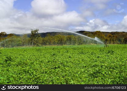 A stock photograph of a field being irrigated.